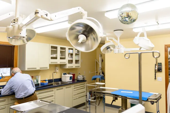 Mattituck-Laurel Veterinary Hospital Picture 9