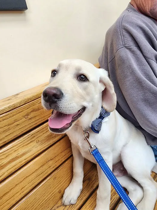 Mattituck-Laurel Veterinary Hospital Picture 4