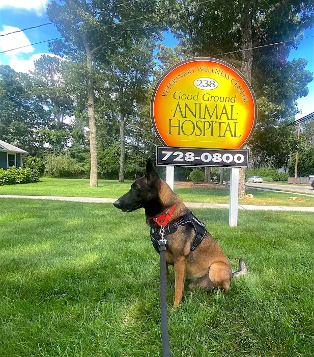 Good Ground Animal Hospital Picture 5
