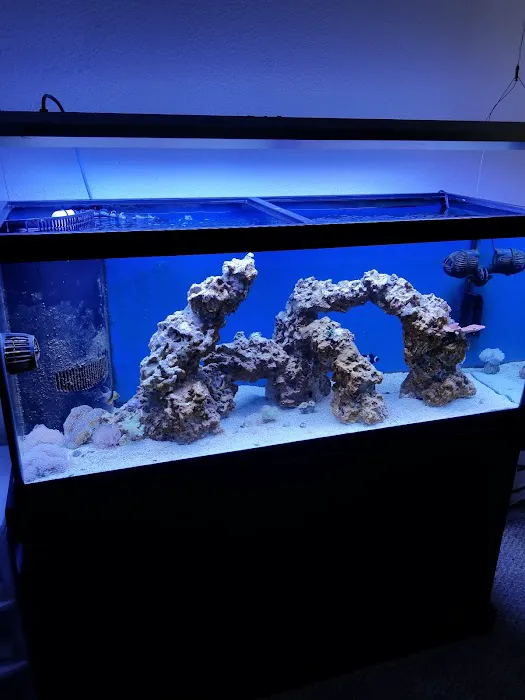 Aqua Dreams Picture 3