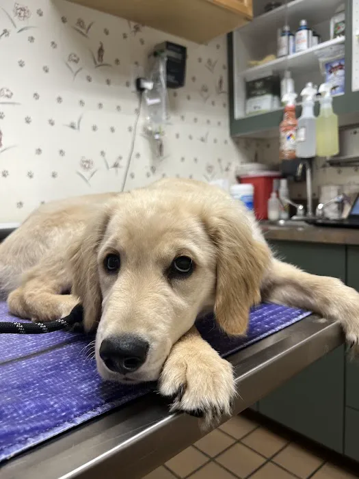 Shinnecock Animal Hospital Picture 6