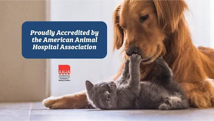 Shinnecock Animal Hospital Picture 4