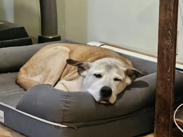 Shinnecock Animal Hospital Picture 2