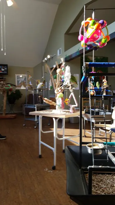 Parrot & Bird Emporium Inc Picture 5