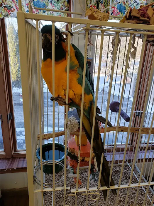 Parrot & Bird Emporium Inc Picture 10
