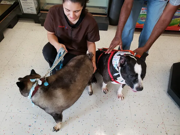 Petco Picture 2