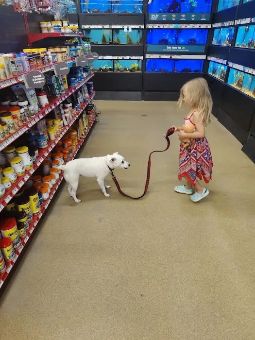 Petco Picture 7