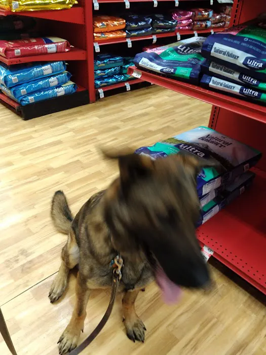 Petco Picture 3