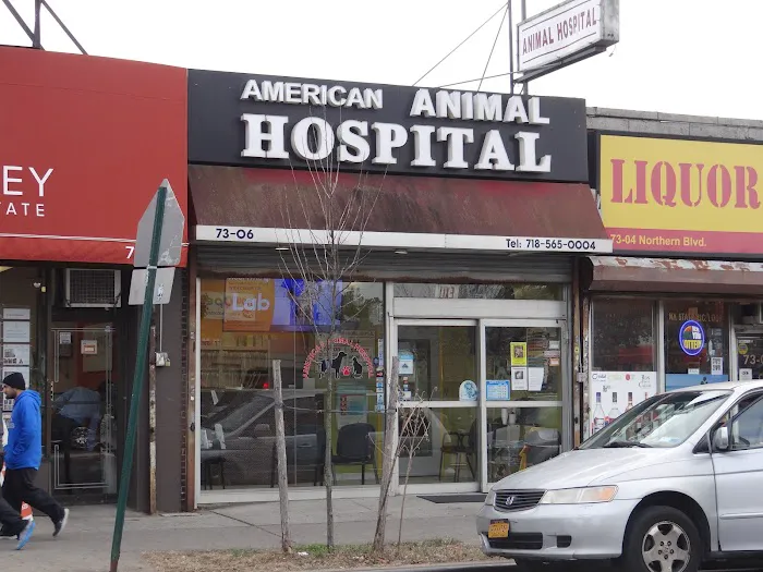 St Mark Animal Clinic / Jackson Heights Animal Clinic Picture 6