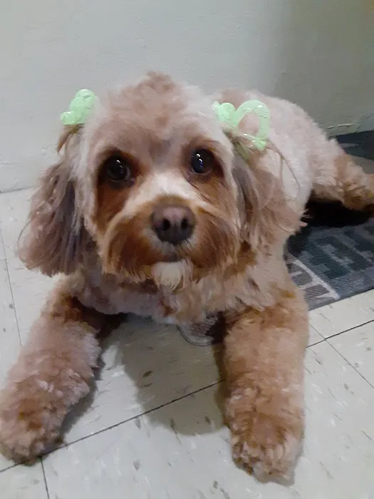 Value Veterinary Clinic Picture 3