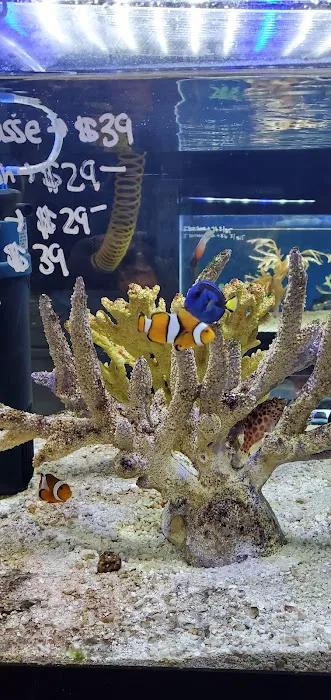 Imperial Exotics Picture 10