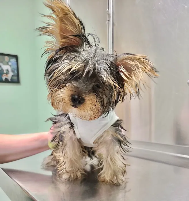 Middletown Animal Clinic Picture 6