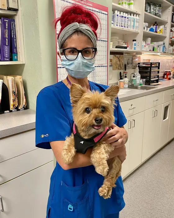 Middletown Animal Clinic Picture 8