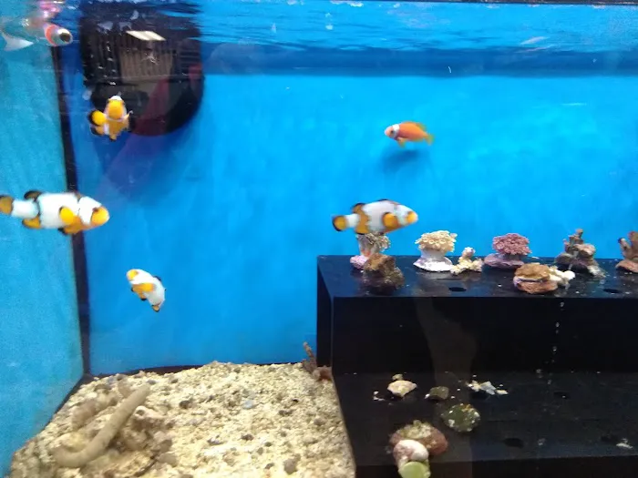 Petco Picture 9
