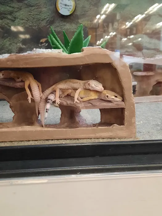 Petco Picture 10