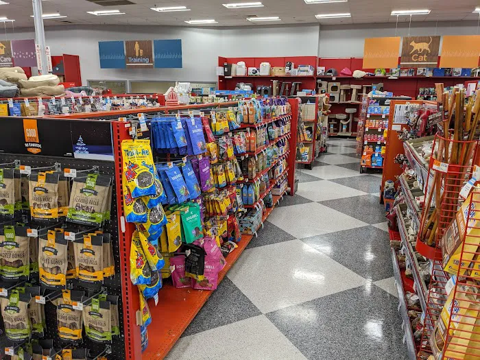 Petco Picture 2