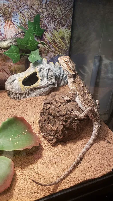 Petco Picture 7