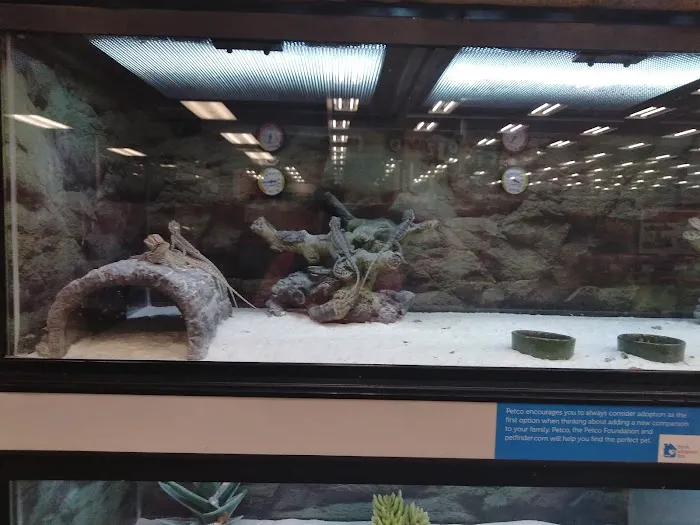 Petco Picture 4