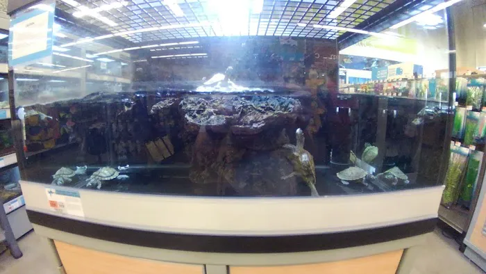 Petco Picture 4
