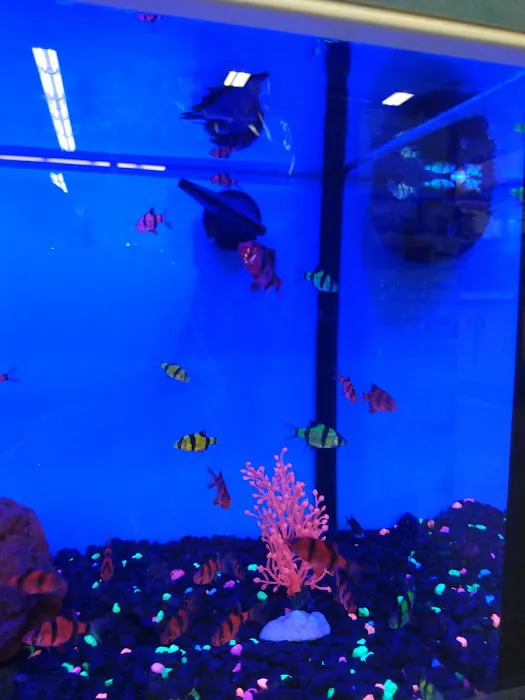 Petco Picture 7