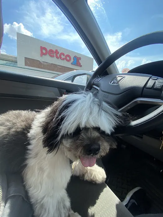 Petco Picture 2