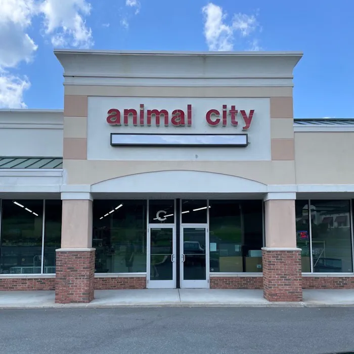Animal City Picture 7