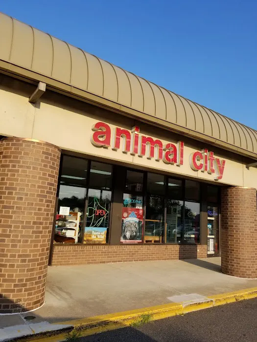 Animal City Picture 6
