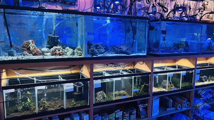 Wet Pets LLC Picture 6