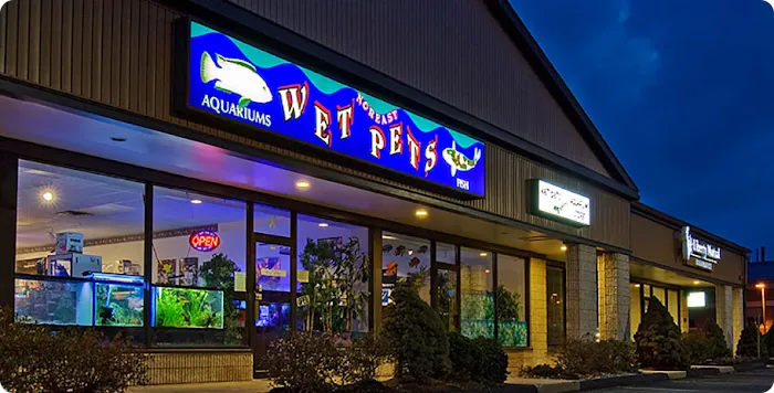 Wet Pets LLC Picture 10