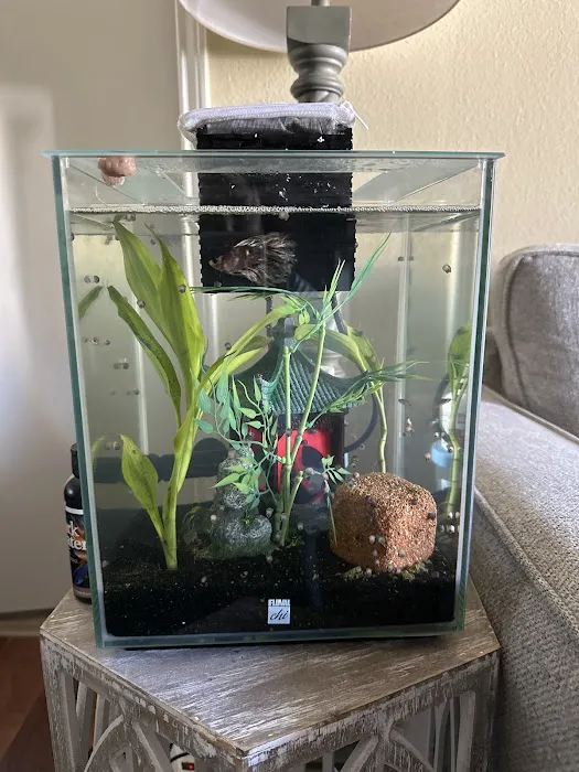 Wet Pets LLC Picture 7