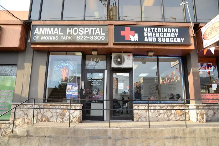 Animal Hospital of Morris Park Picture 9