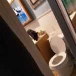 Miguels Fish & Aquatic (Maintenance)