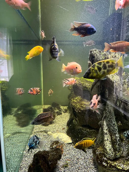 Miguels Fish & Aquatic (Maintenance) Picture 2