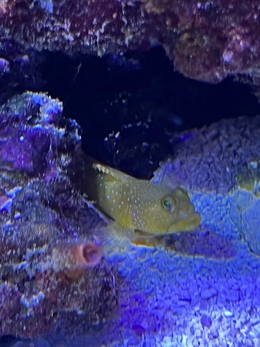 Miguels Fish & Aquatic (Maintenance) Picture 6