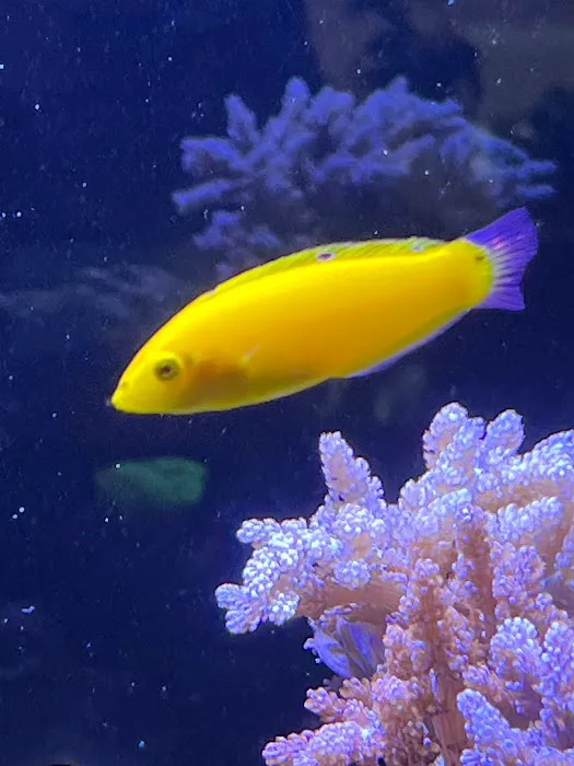 Miguels Fish & Aquatic (Maintenance) Picture 7