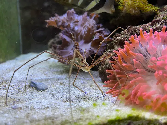 Miguels Fish & Aquatic (Maintenance) Picture 10