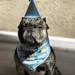 Paw Street Barkery