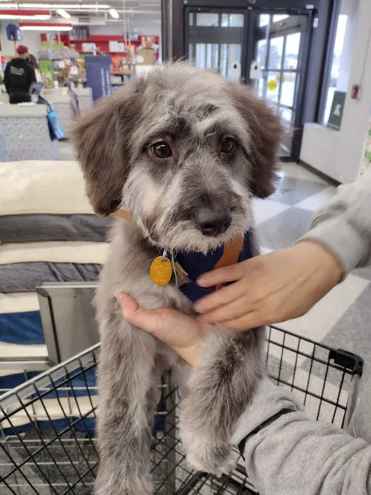 Petco Picture 2