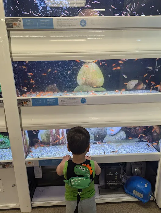 Petco Picture 6