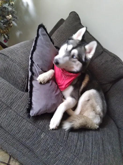 Petco Picture 5