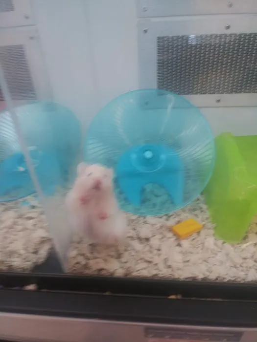 Petco Picture 1