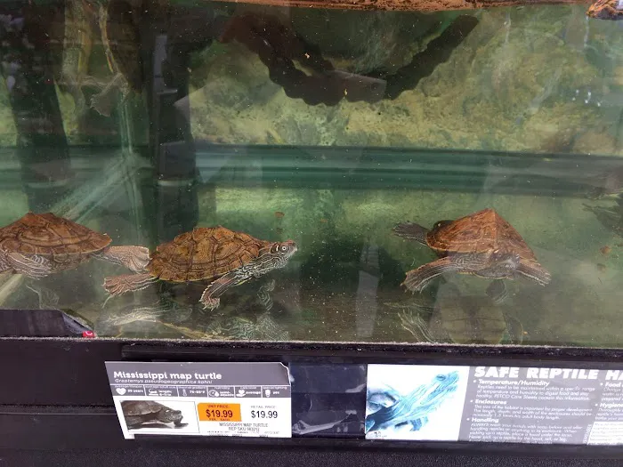 Petco Picture 3