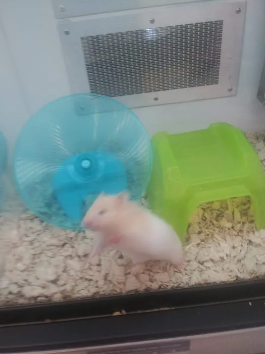 Petco Picture 4