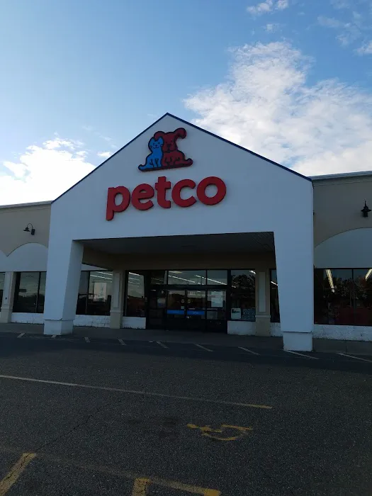 Petco Picture 8