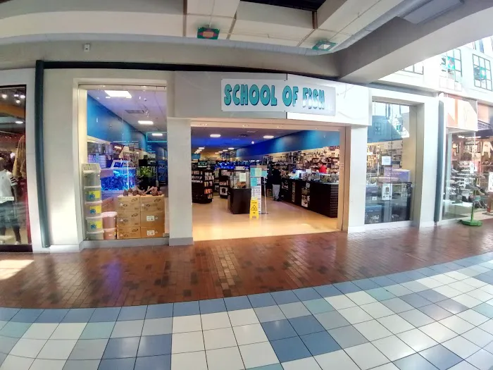 School Of Fish Picture 3