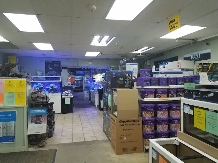 School Of Fish Picture 9