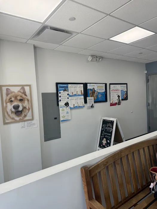 Astoria Veterinary Group Picture 6