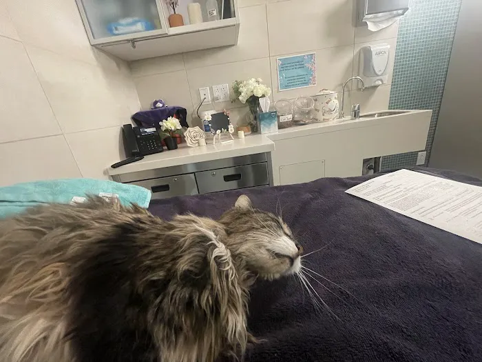 Dr Pet MD Picture 2