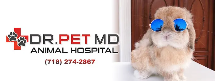 Dr Pet MD Picture 6