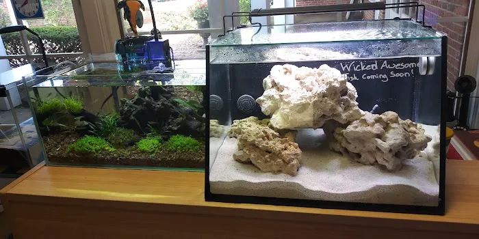 Alpha Aquatic Arts (formerly The Purrfect aquarium) Picture 8